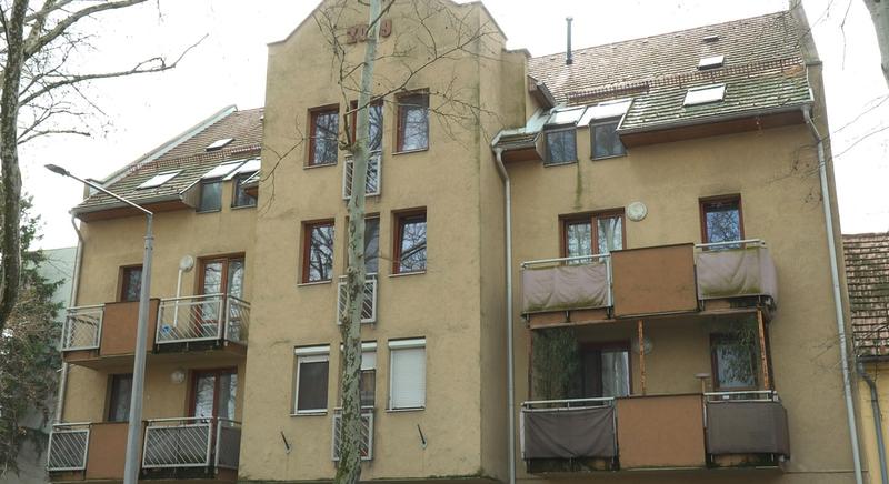 Negyven fecskelakás van már Kaposváron