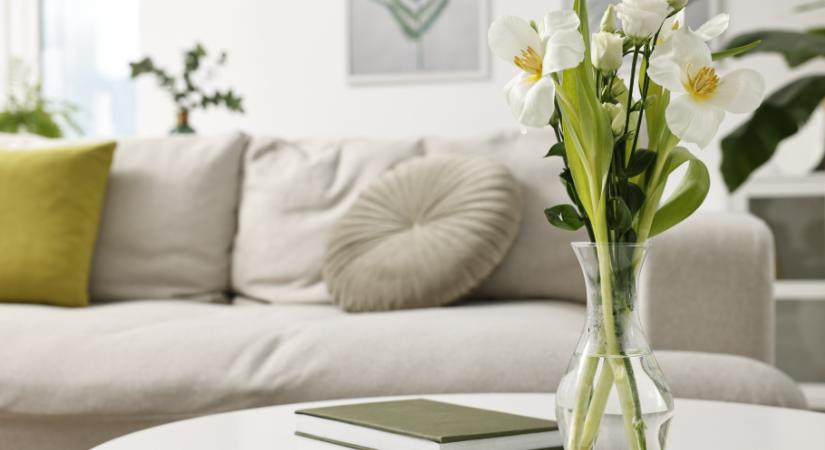 Íme az egyszerű kérdés, amit fel kell tenned magadnak, ha nyugodtabb otthonra vágysz