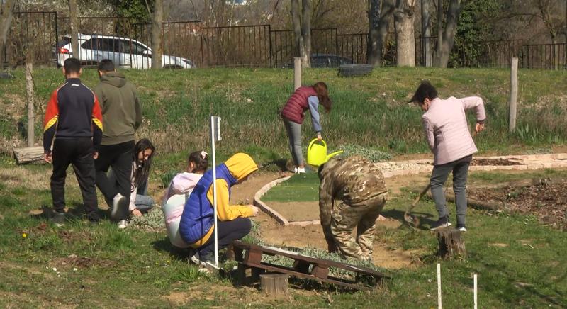 Közösségi élmények is teremnek a kertben