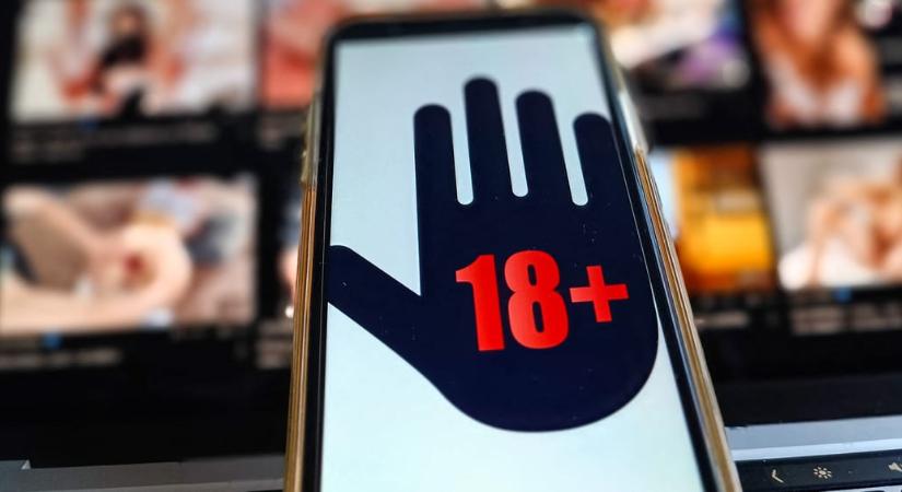 Az EU nekiment a PornHubnak és társainak, mert szerintük semmit sem tesznek azért, hogy kiszűrjék a kiskorúakat a platformokról