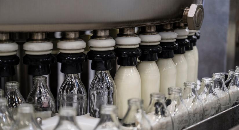 Itt érdemes vásárolni, ha jó áron akar tejterméket venni