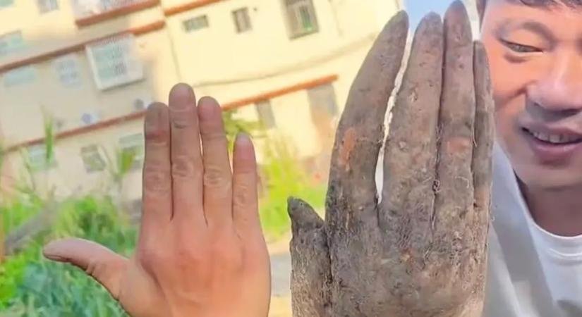 Gyomorforgató dolog bukkant elő a földből – ez egy emberi kéz!?
