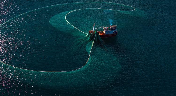 Az óceánok csendes válsága már zajlik