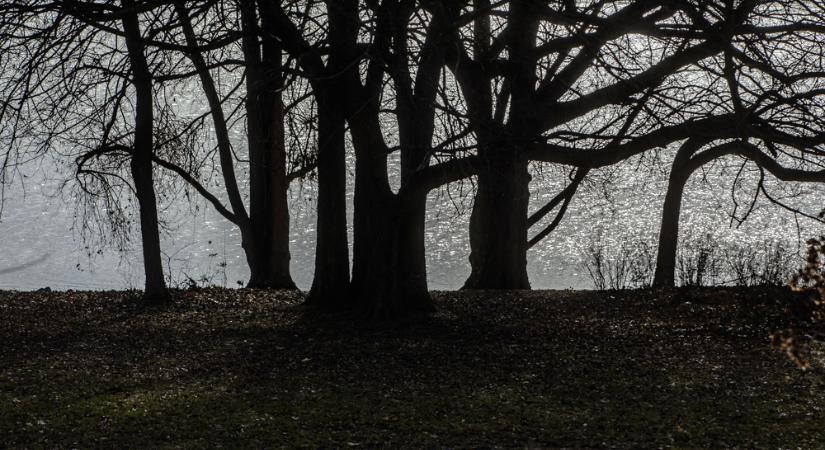 Nemzeti parki terület lett a dél-balatoni Nagyberek