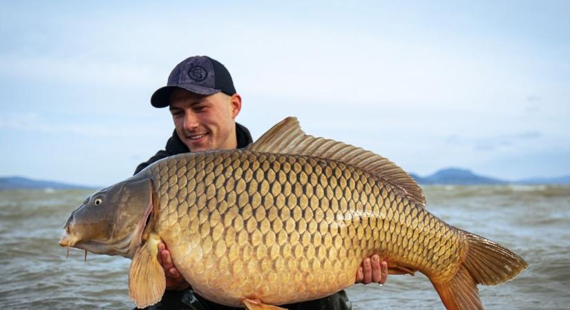 Újabb emberméretű halat emeltek ki a Balatonból, döbbenetes a súlya