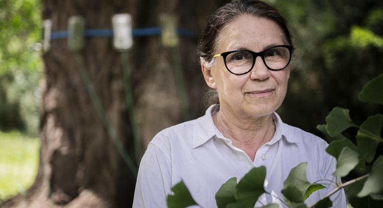 Francia lovagrend kitüntetést kapott Enyedi Ildikó