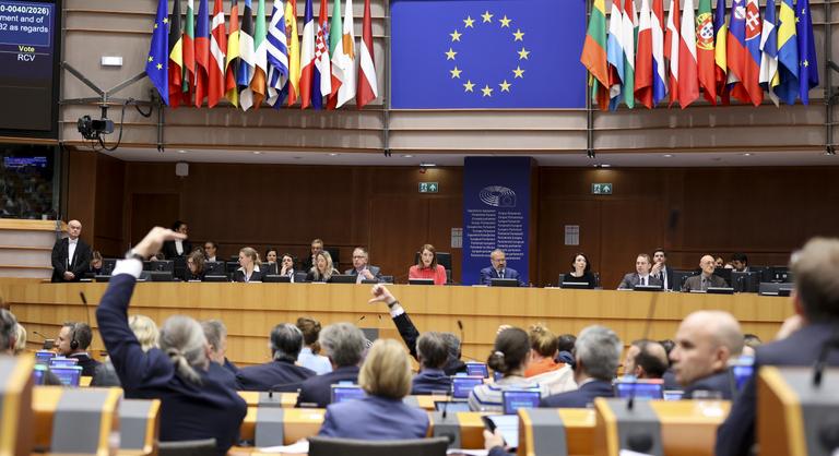 Nem sikerült megszavaznia az Európai Parlamentnek, rövid időn belül eláraszthatják a pedofil tartalmak az internetet