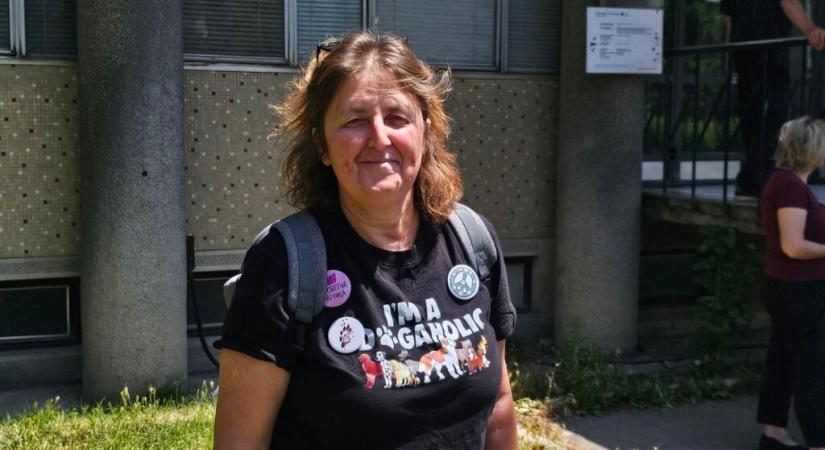 Eljárás indul a bajmoki iskola ellen Beszédes Andrea elbocsátása miatt