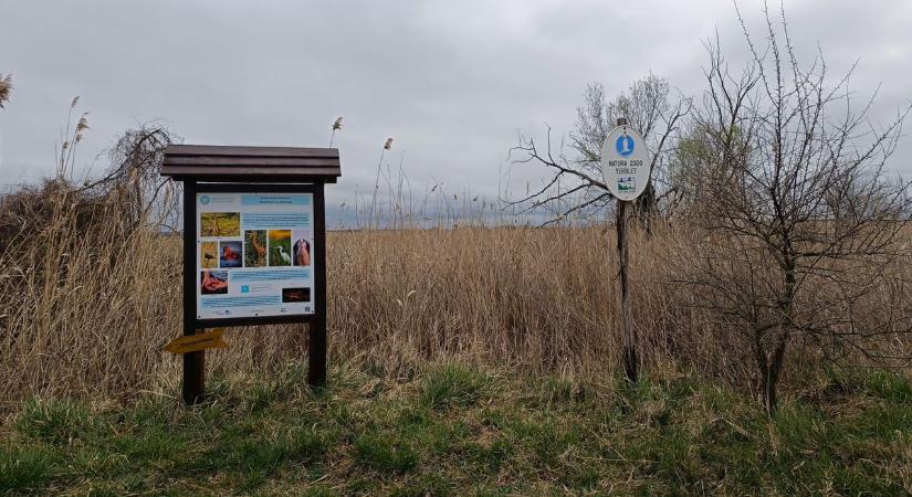 Természetvédelmi területté nyilvánították a Dél-balatoni Berkeket, ők kaptak munkájukért elismerést