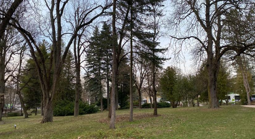 Szürke fátyol borul a megyére – de nem minden az, aminek látszik