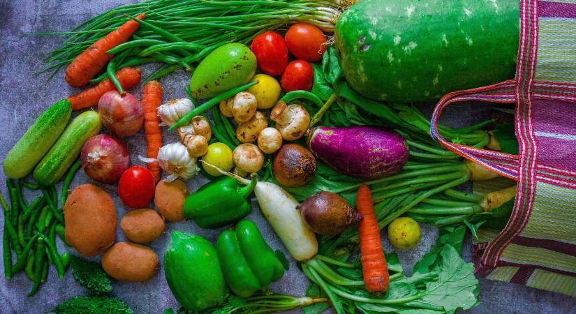 GMO-jelölés nélkül jöhetnek az új növények? Lépést sürget a Magyar Biokultúra Szövetség