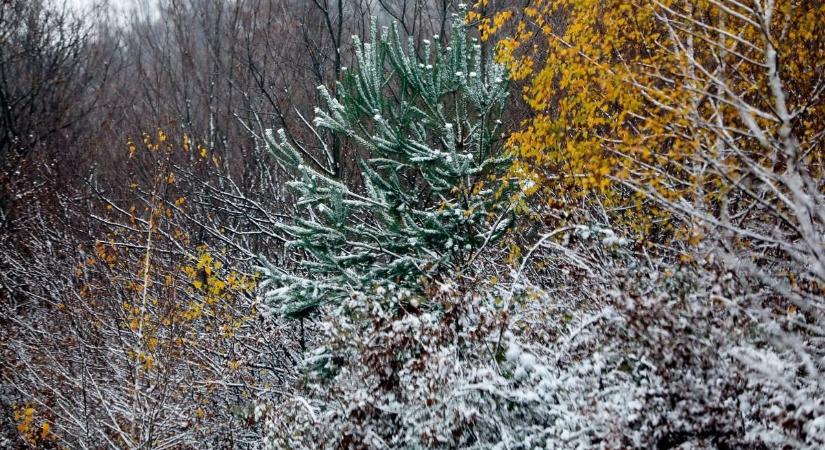 Elkezdődött! Már havazik a Kőszegi-hegységben - videó