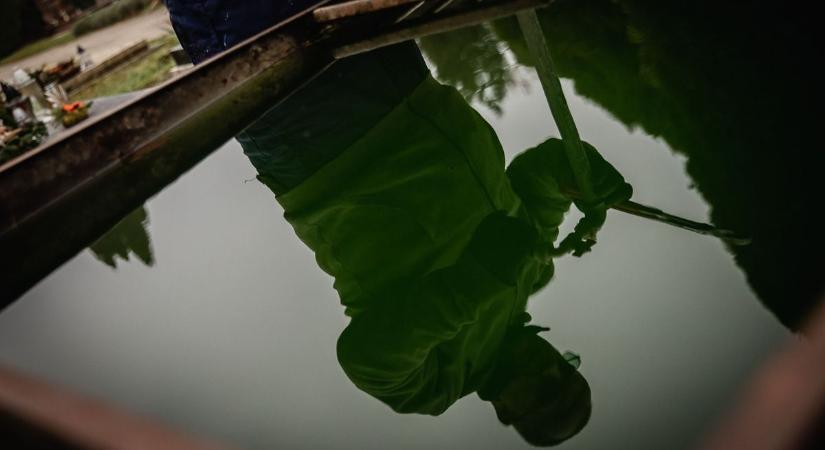 Megnyitották a veszprémi temetőkben a vízcsapokat