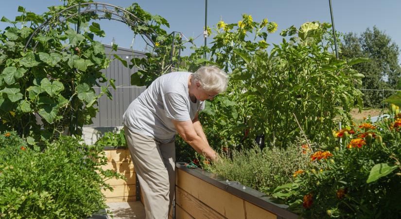 Te is a szomszédtól kérsz tanácsot? Van egy megbízhatóbb forrásunk!