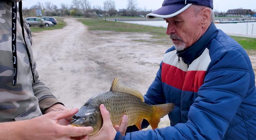 Félnek a horgászok, de nem várhatott tovább a MOHOSZ