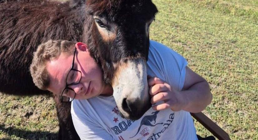 Újra útra kel Patrik, a Julcsi nevű szamárral az oldalán