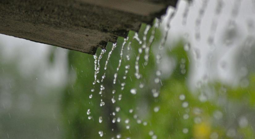 Esővíz gyűjtés a kertben: milyen rendszer a legjobb?