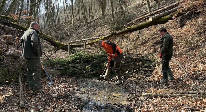 Különleges "hódgátakkal" segítik az erdők túlélését Heves vármegyében