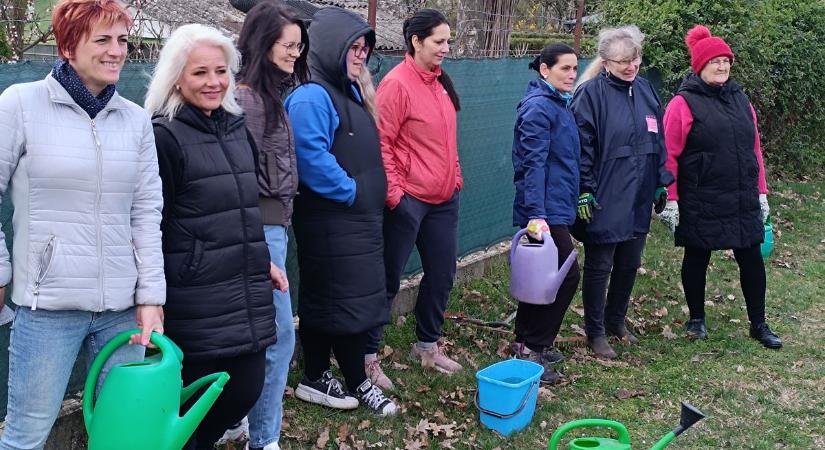 Köztisztviselők (is) ültették a facsemetéket Kulcson
