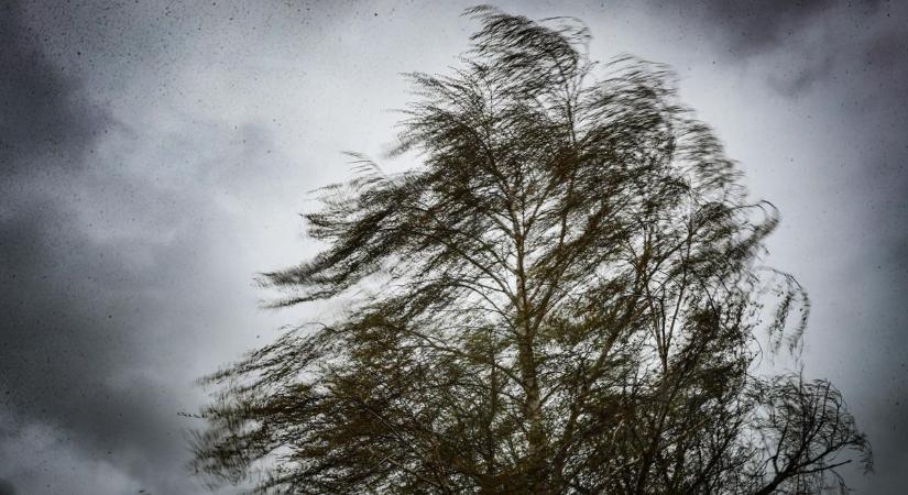 Így csapott le Deborah Vas vármegyére: szélvihar, áramszünetek, havazás, viharkárok