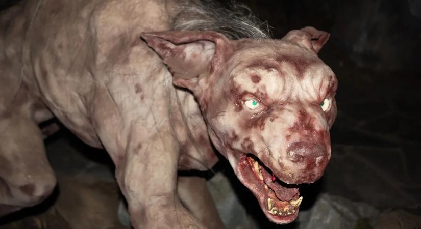 A szemtanúk rettegnek: ezen a helyen látják a leggyakrabban vadászni a chupacabrát