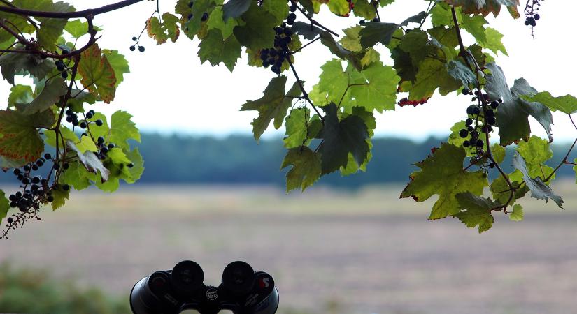 Kezdetét veszi a Tavaszi természetles