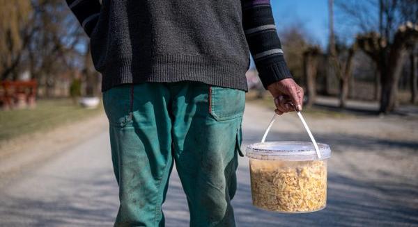 Leleplezés: 500 ezer embert vehetnek rá pénzzel, droggal, alkohollal, vagy fenyegetéssel, hogy szavazzon a Fideszre