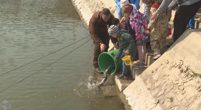 Haltelepítés gyerekek segítségével