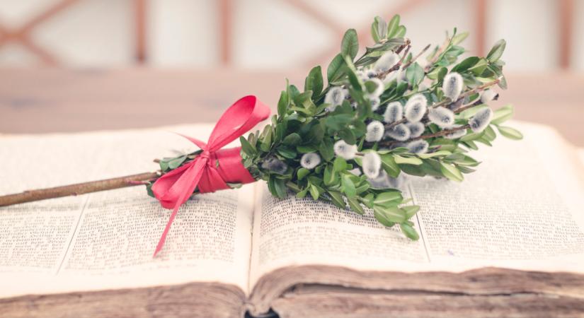 Virágvasárnap 2026: mit ünneplünk március 29-én? Népszokások, hagyományok és a barka jelentése