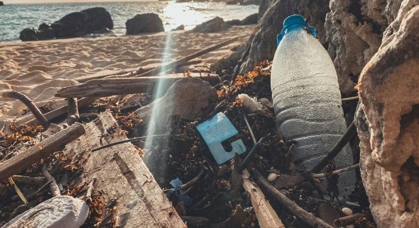 Tényleg prosztatarákot okoznak a mikroműanyagok?