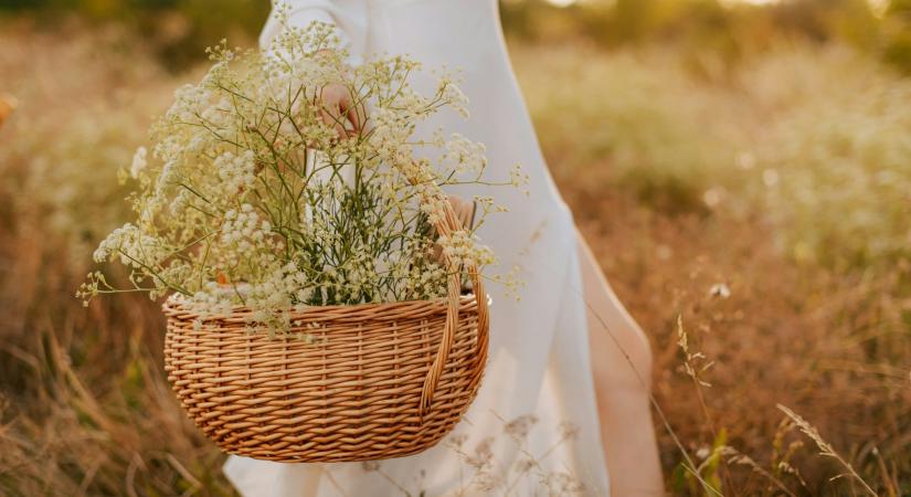 Napi horoszkóp 2026. március 27.: feszültséggel teli napra kell számítanod