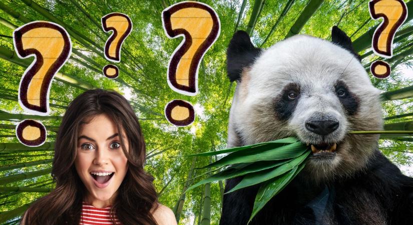 Hányast kapnál biológiából? Ha tudod választ az élővilágkvíz legalább 6 kérdésére, a négyes már megvan!