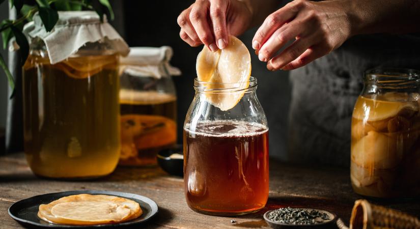 Így készíthetsz probiotikus italt 3 összetevőből – Meglepően könnyű recepteket találtunk