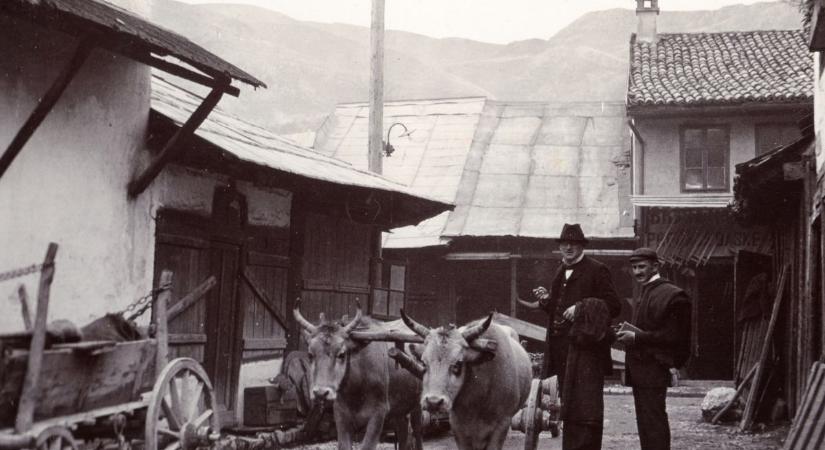 Kvíz: Tudod, hogy mit jelentenek ezek a furcsa és régies magyar szavak?