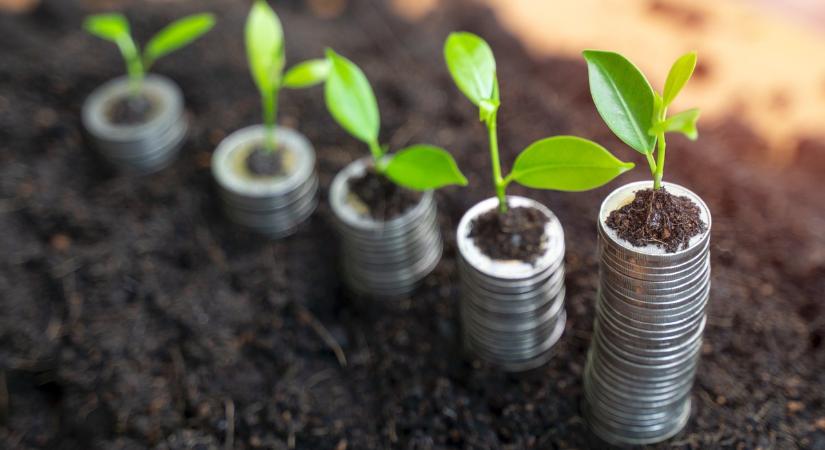 3 csillagjegy most fordulóponthoz érkezik a pénzügyeikben