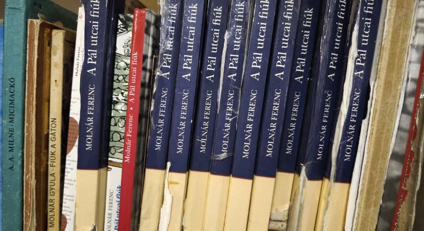 Szakadnak szét a kötelező olvasmányok, díszkötésben kapják a felesleges könyveket – így próbálnak forrás nélkül működni az iskolai könyvtárak