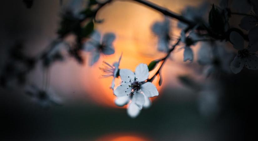 A tavasz 17 pillanata - fotókon