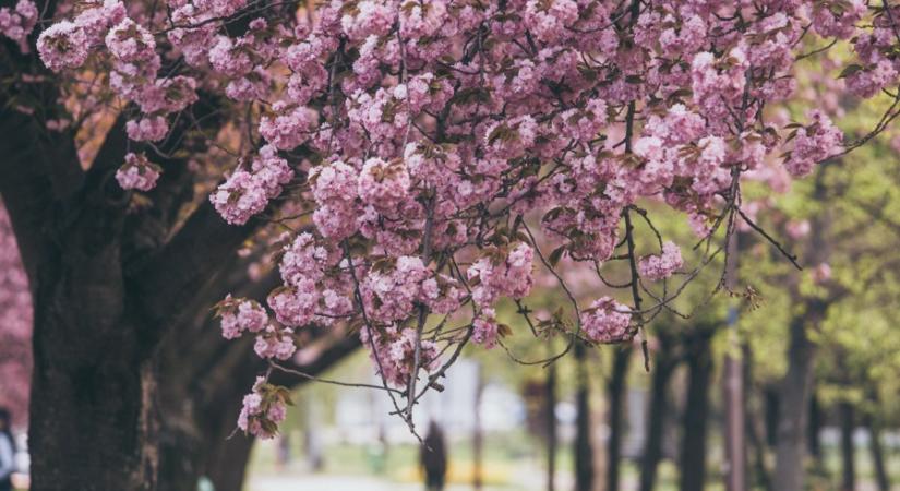 2043-ban lenne Európa Kulturális fővárosa Szombathely