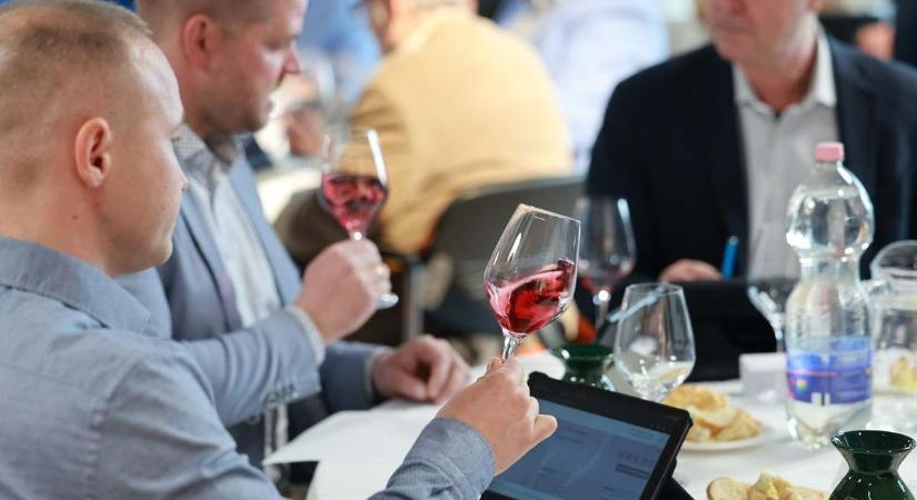 Csúcsbor: a szekszárdi borvidéken ez a bor lett a legjobbak közül is a legjobb