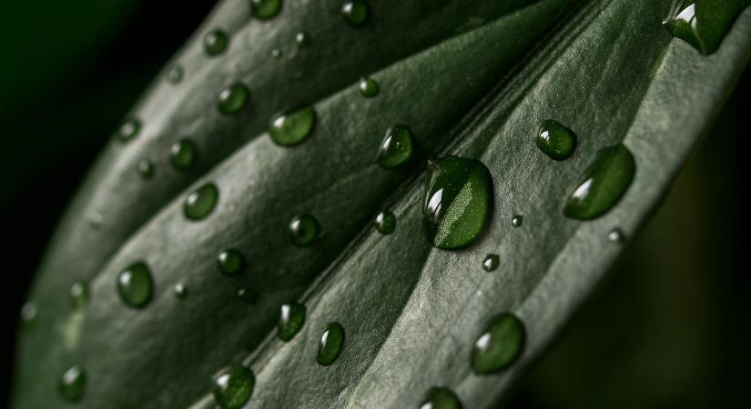 Borult, csapadékos idő várható, nyugaton kiadós esővel
