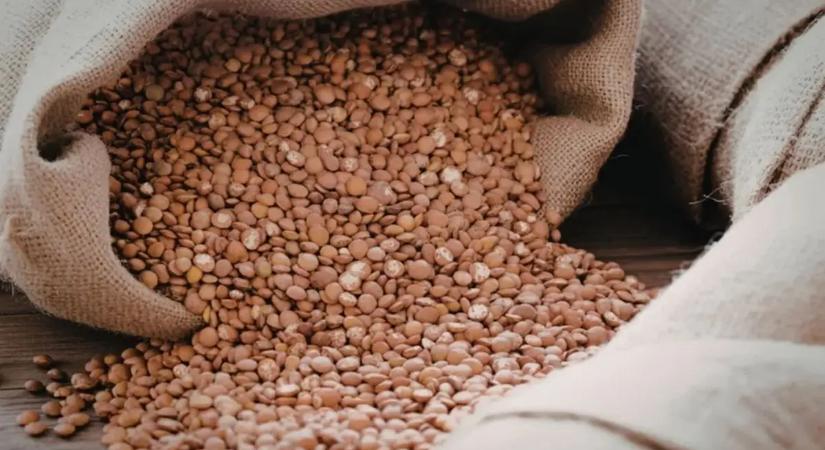 Ősi szuperételek: mit tanulhatunk a római katonák konyhájából?