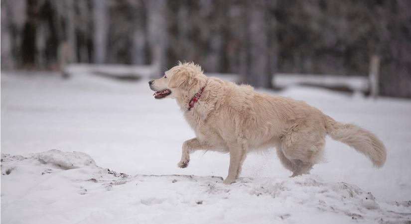 Életbe lépett a figyelmeztetés! Jön a hó és a viharos szél