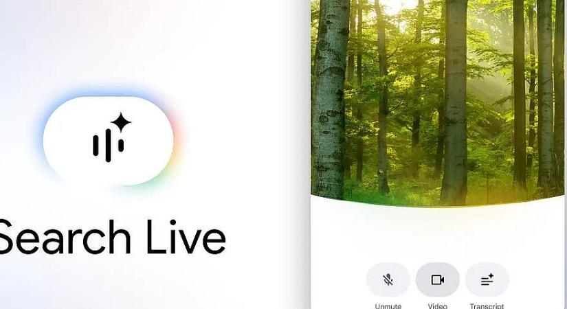 Magyarországon is elérhetővé tette a Live keresést a Google