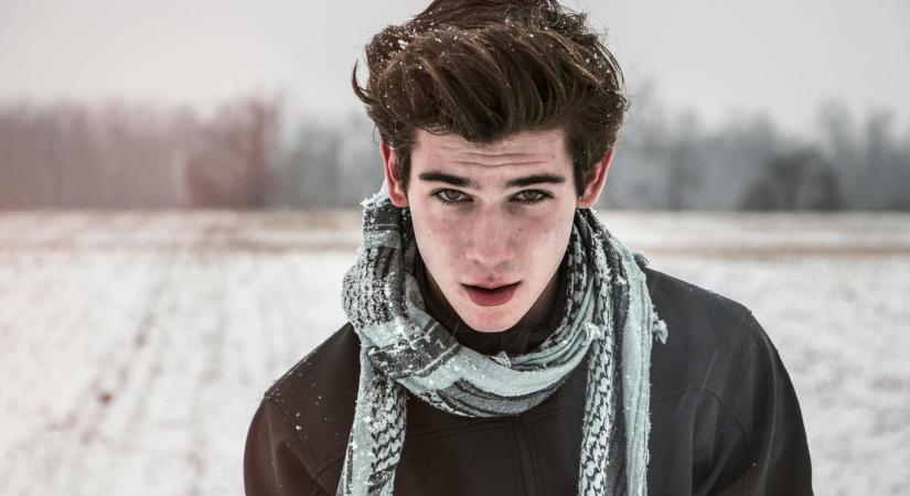 Hajbeültetés: új lehetőségek a fővárosban