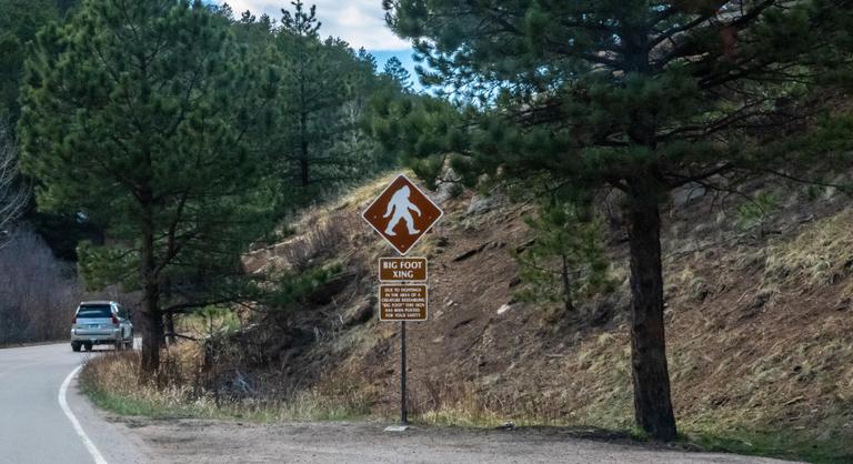 Elszabadult kutyák és óriási lábnyomok sokkolják a lakosságot Ohióban