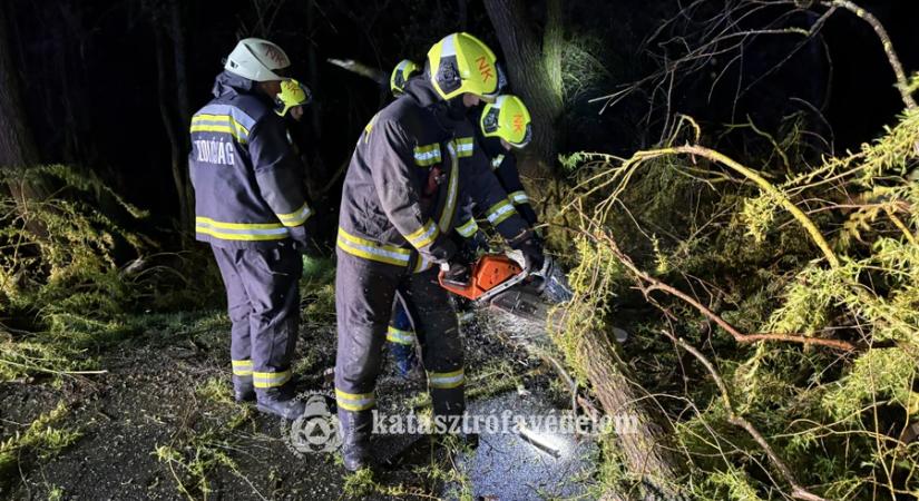 Viharos éjszaka Nagykanizsán: kidőlt fák és leszakadt vezetékek miatt riasztották a tűzoltókat
