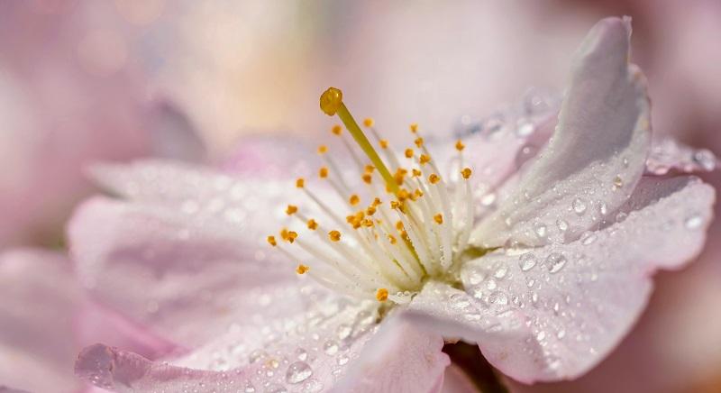 Frissítették a négyhetes időjárás-előrejelzést – Jönnek a tavaszi esők