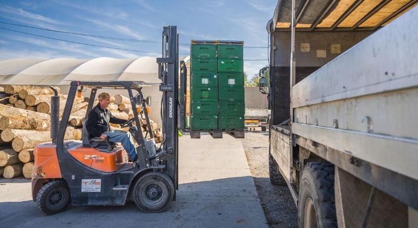 Romló munkaerőpiaci adatok: több a munkanélküli, kevesebben dolgoznak
