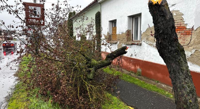 Megérkezett az armageddon Zalába! A tűzoltók folyamatosan dolgoznak a károk elhárításán vármegyeszerte! (galéria, videó)