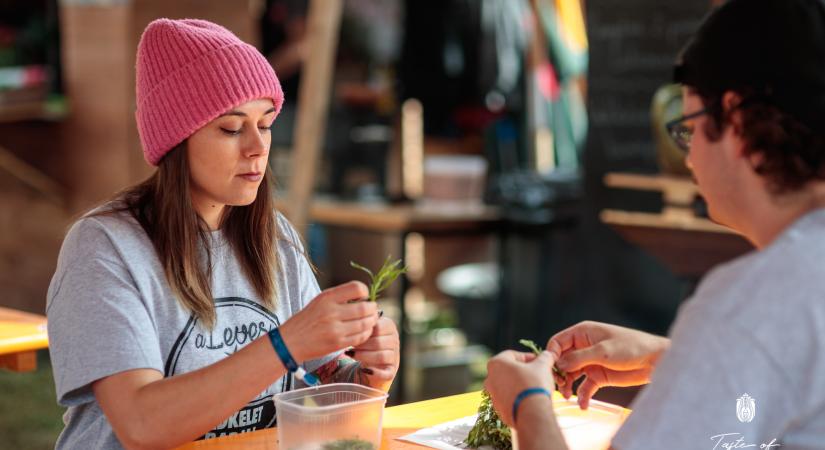 3 meglepő tény, amit nem tudtál az erdélyi konyháról